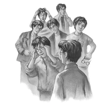 The seven Potters.