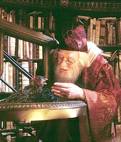 Dumbledore and the reborn Fawkes.[HP2]