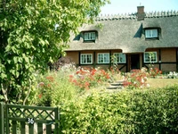house in Høje Taastrup village