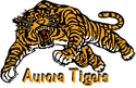 Aurora Tigers
