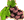 صورة:Icon_wine.gif