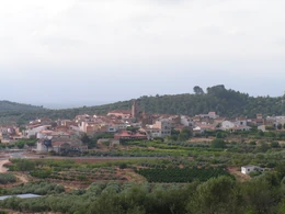 Vista de Freginals