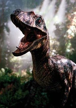 Velociraptor from Jurassic Park III
