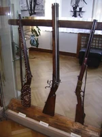 Silver Rifle, Bear Hunter Rifle, and Henry Rifle.