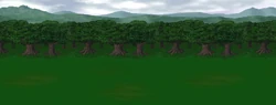 Lion Forest