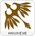 Image:Human_hawkeye.gif