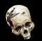 Image:SkullofBroddy Icon.JPG