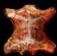 Image:SkinofShadow Icon.JPG