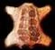 Image:SnowBearSkin Icon.JPG