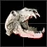 Ancient Hell Dragon Skull