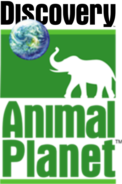 Image - Discovery animal planet logo.png - Logopedia, the logo and
