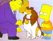 mascota mascota