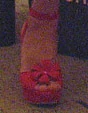 Bild:sunschuhe03.jpg
