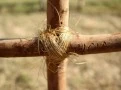 Life_and_death