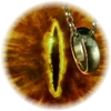 Wilkommen in der Herr der Ringe Wikia!