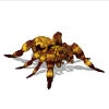 Image:Img_Spider.jpg