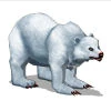 Image:Img_IceHunterPetBear.jpg