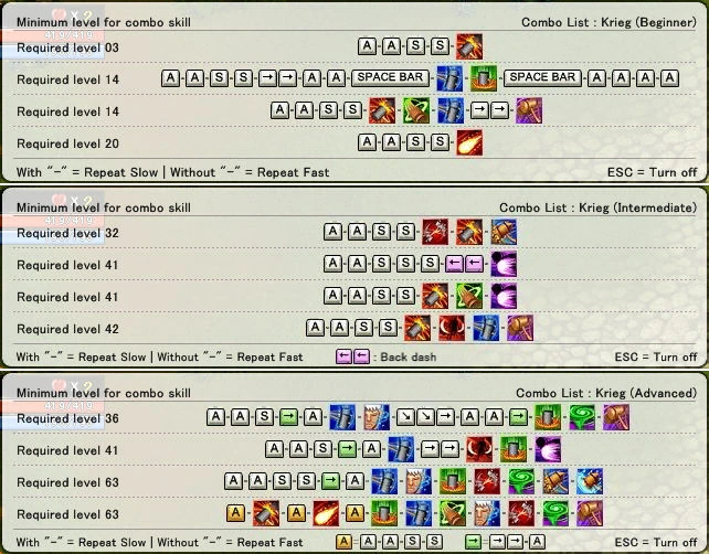 Image:Combos Training Paladin.jpg