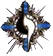 Image:BGU.png