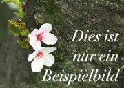Bildbeschreibung