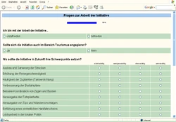 Online-Fragebogen