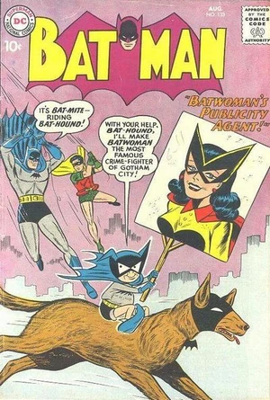 Batman 133.jpg
