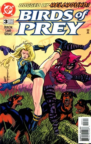 Birds of Prey 3.jpg
