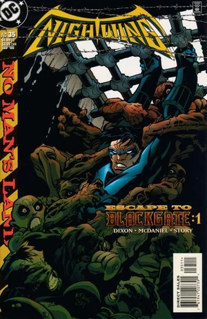 Nightwing Vol 2 35.jpg