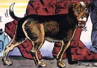 Dogg (Dakotaverse)