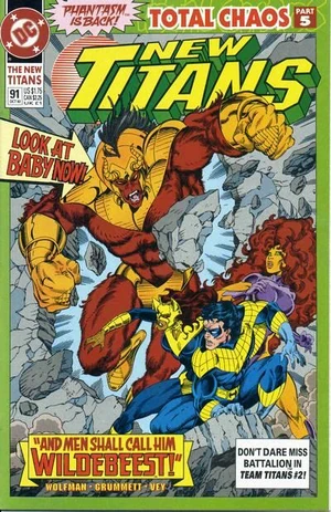 New Titans 91.jpg