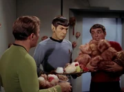 Scotty bringt Kirk einen Berg von Tribbles.