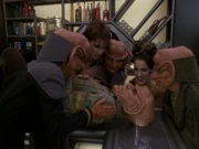 Quark liegt auf der Theke