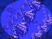 DNA, the genetic programming of a lifeform