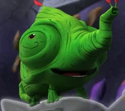 A chameleon