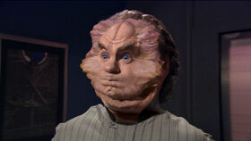 280px-Phlox_face.jpg