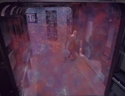 Seven collapses, asphyxiating on nebular gas