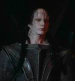 A Cardassian guard