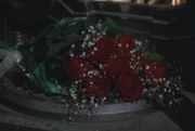 A bouquet of roses.