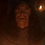 Divok