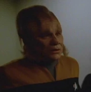Ensign Neelix