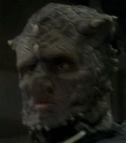 ... as a Jem'Hadar guard
