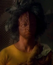 Haliz in 2372.