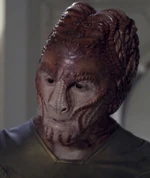 The Hirogen Fighter