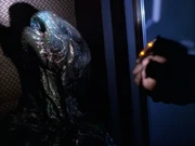 The Doctor finds the remains of one of the aliens