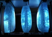 A series of gel packs
