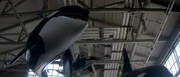 A model of a killer whale