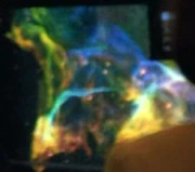 The Veil Nebula