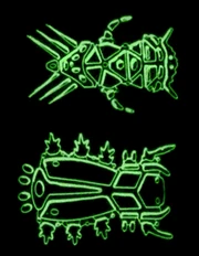 Fossil remains of silicon-based, Martian insects