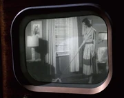A commercial as seen on Paris and Torres' TV set