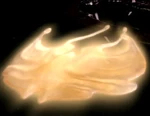 Embryonic lifeform"Q-Less"